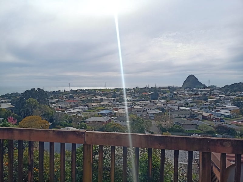25 Crownhill Street, Spotswood, New Plymouth - Carousel 2
