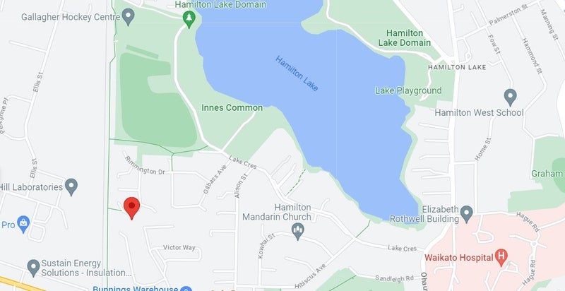 35 Hastings Place, Hamilton Lake, Hamilton - Carousel 18