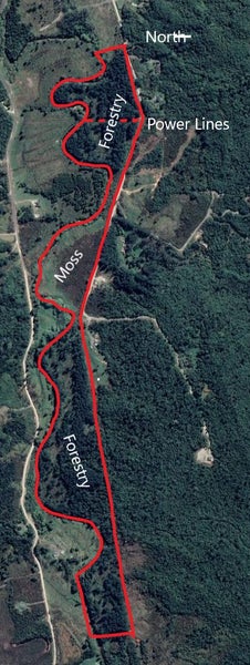 159 Clifton Road, Kaiata, Greymouth - Carousel 2