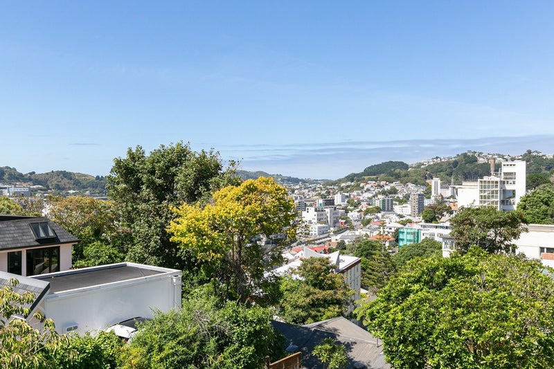 5 Mckenzie Terrace, Te Aro, Wellington - Carousel 1