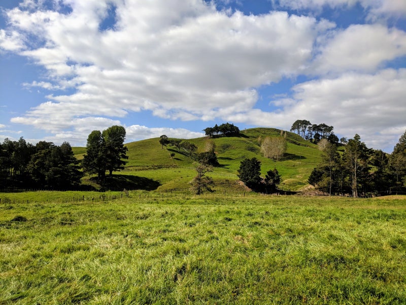 270 Wech Access, Makarau, Warkworth - Carousel 13