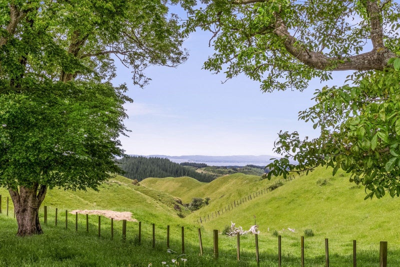 171 Kaiwaka Road, Tangoio, Napier - Carousel 2