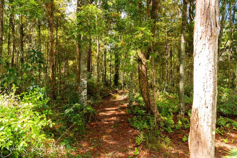 356 Bull Road, Waiotira - Carousel 1