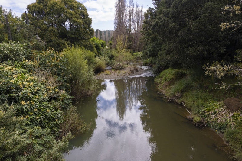 1098 Broadwood Road, Broadwood, Kohukohu - Carousel 2