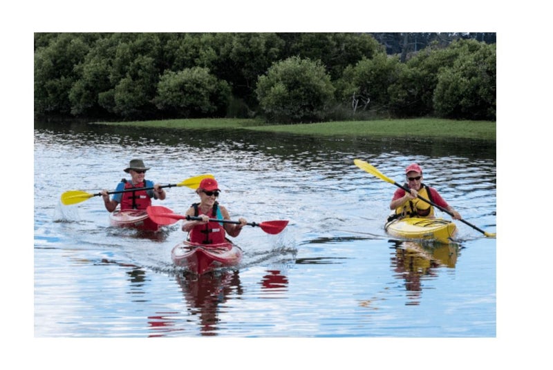 7 Awhi Way, Karaka, Papakura - Carousel 2