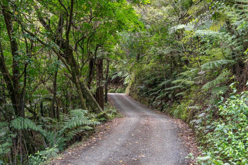 1534 Ngunguru Road, Ngunguru, Whangārei - Carousel 12