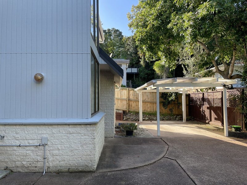 161B Portland Road, Remuera, Auckland - Carousel 2