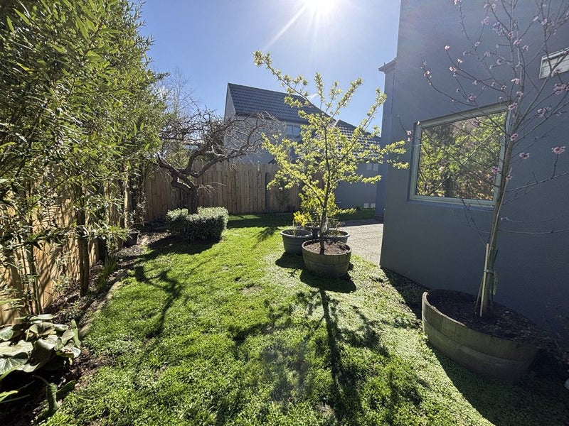 2/21 Alexandra Street, Richmond, Christchurch - Carousel 20