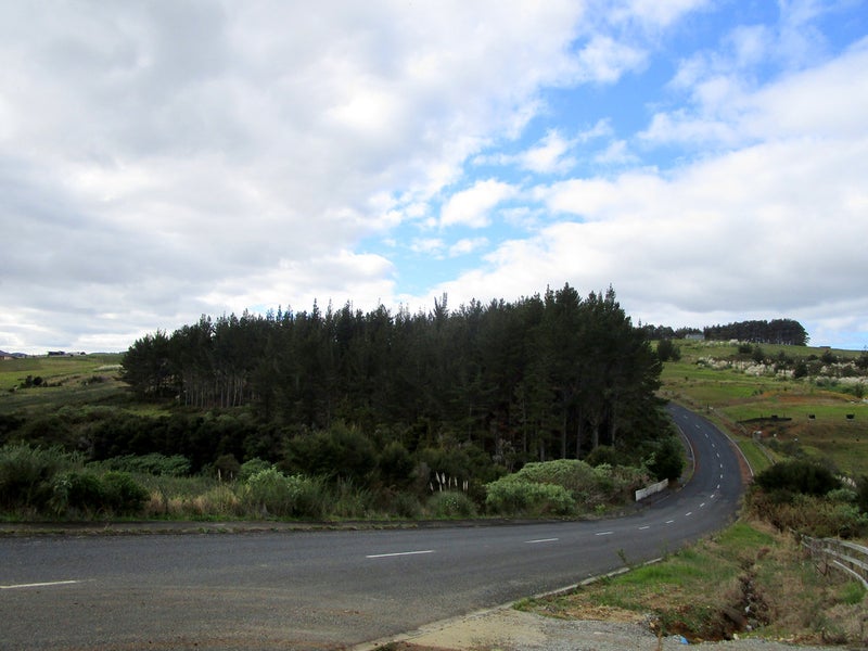 17 Pekama Drive, Cable Bay - Carousel 12