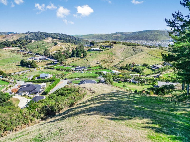 273D Wallaceville Road, Wallaceville, Upper Hutt - Carousel 21