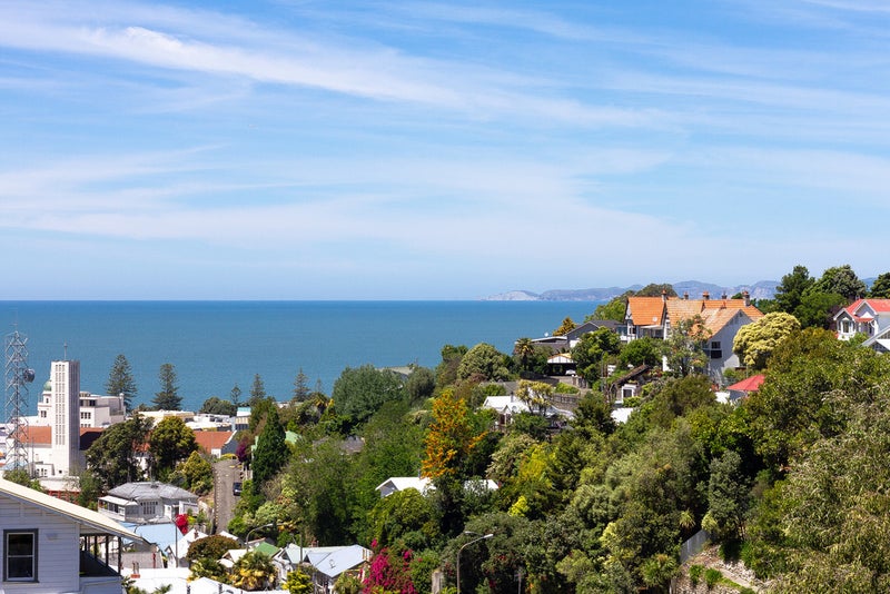 20 Sealy Road, Bluff Hill, Napier - Carousel 2