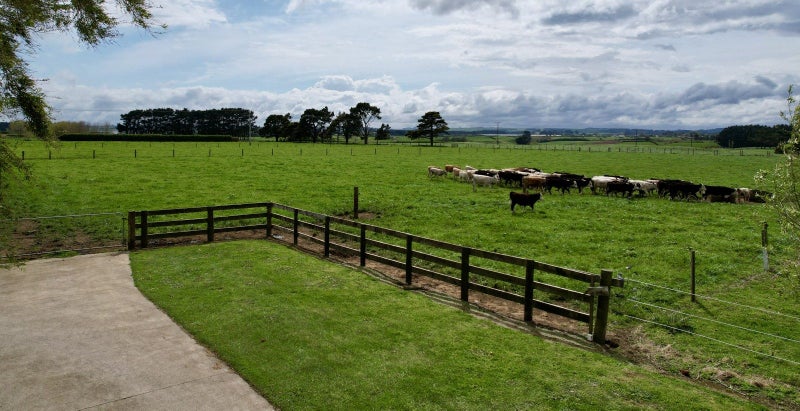 40 Arthur Street, Hāwera - Carousel 1