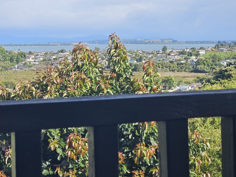 340 Otumoetai Road, Otumoetai, Tauranga - Carousel 2