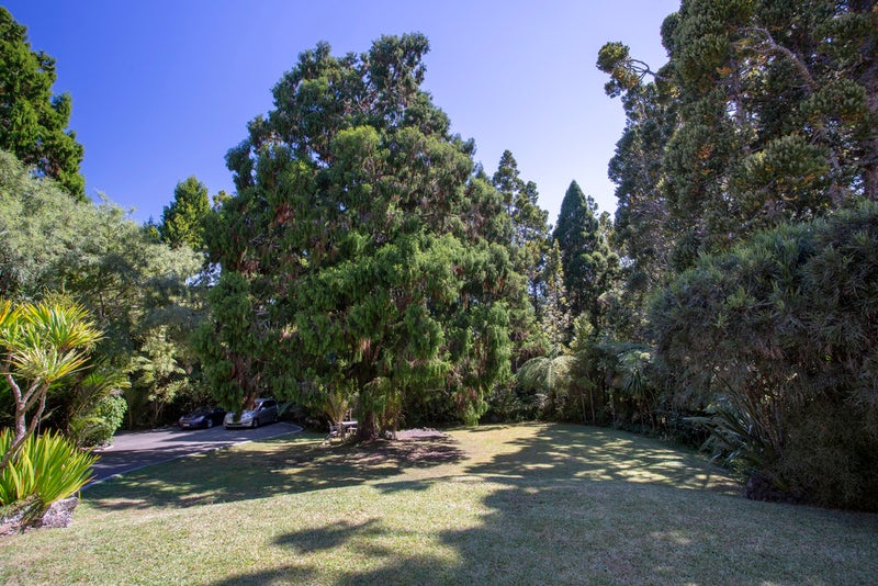 296 Konini Road, Titirangi, Auckland - Carousel 19