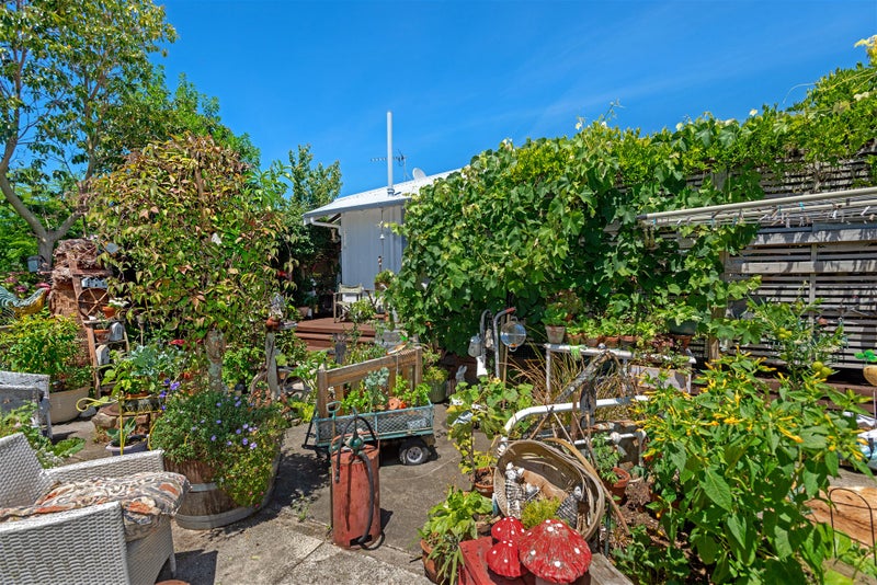 203 Clifford Street, Whataupoko, Gisborne - Carousel 7