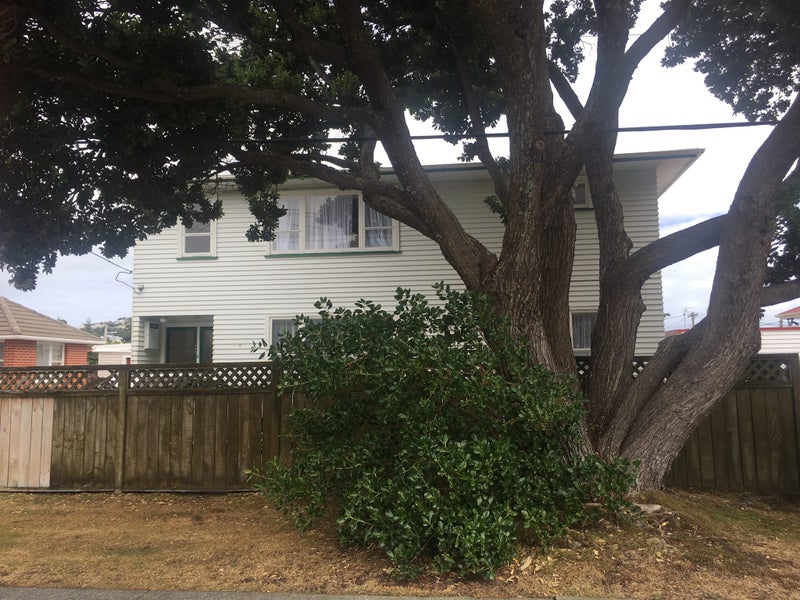 28A Camperdown Road, Miramar, Wellington - Carousel 1