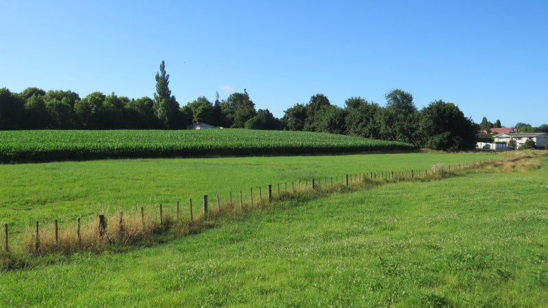 6 Seales Road, Morrinsville, Morrinsville - Carousel 1