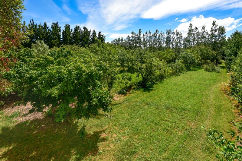 17 Bridge Road, Christchurch - Carousel 22