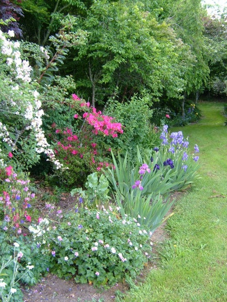 54 State Highway 33, Tikitere, Rotorua - Carousel 25