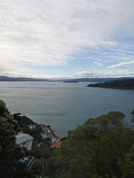 132 Grafton Road, Roseneath, Wellington - Carousel 13