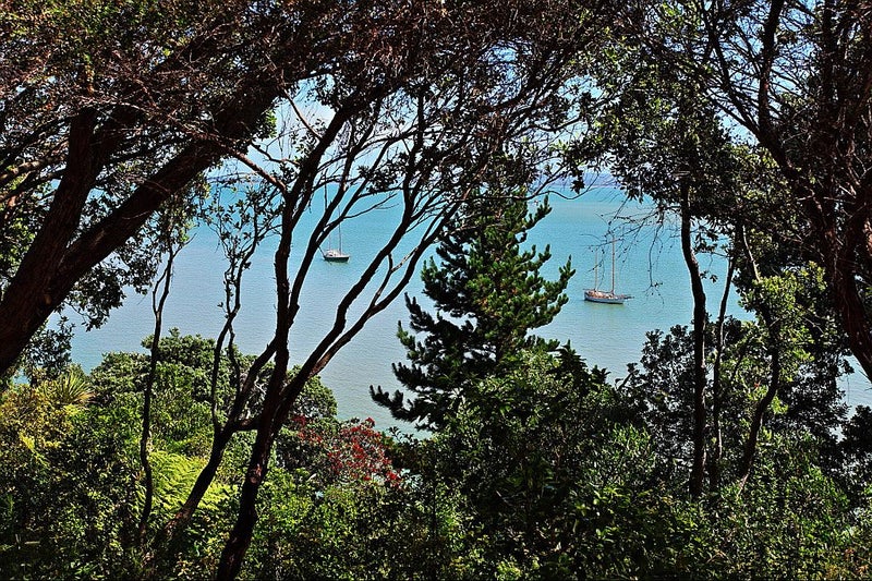 11 Sispara Place, Beach Haven, Auckland - Carousel 20