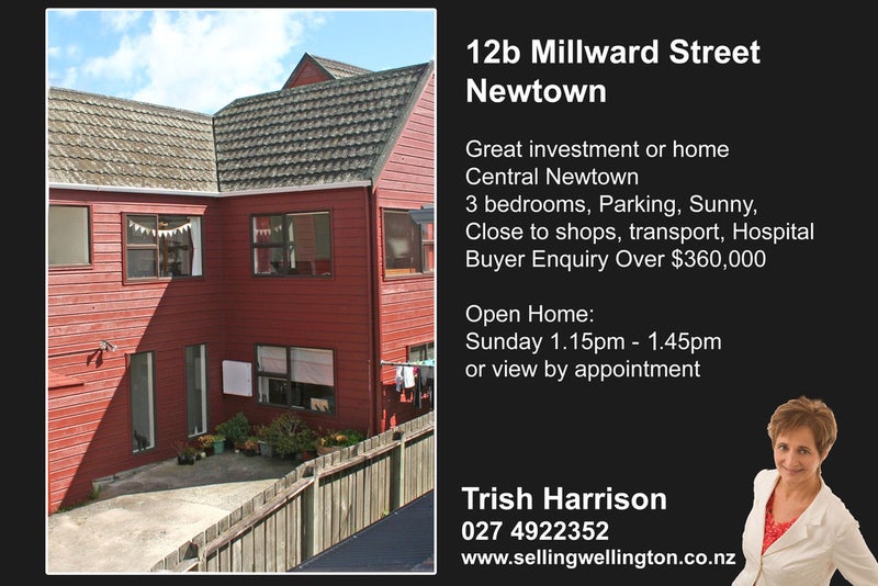 12B Millward Street, Newtown, Wellington - Carousel 9