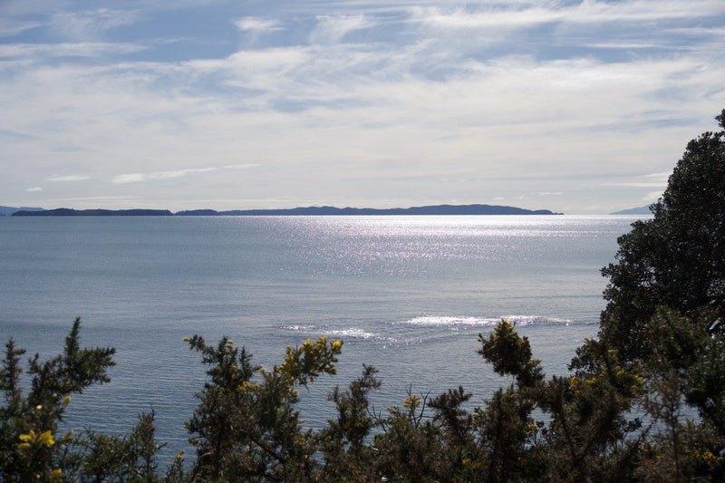 1291 Whangaparaoa Road, Army Bay, Whangaparaoa - Carousel 25