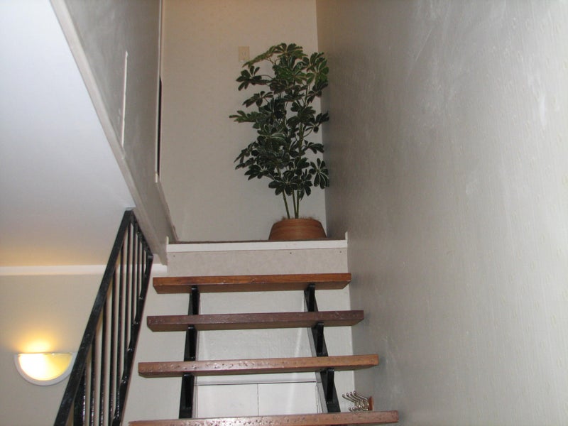 5/43 Grange Road, Mount Eden, Auckland - Carousel 15