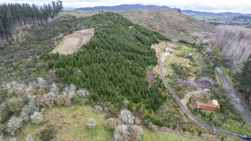 133 South Road, Solway, Masterton - Carousel 12