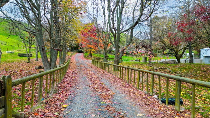 344 Galatos Road, Rotorua - Carousel 2