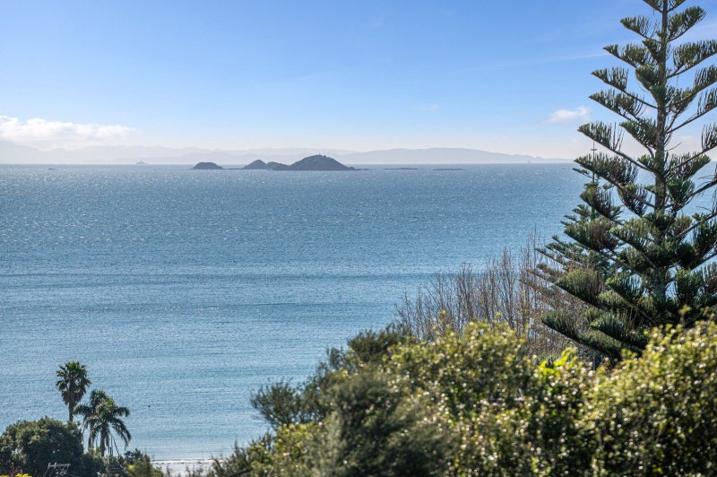 56 Hill Road, Palm Beach, Waiheke Island - Carousel 2