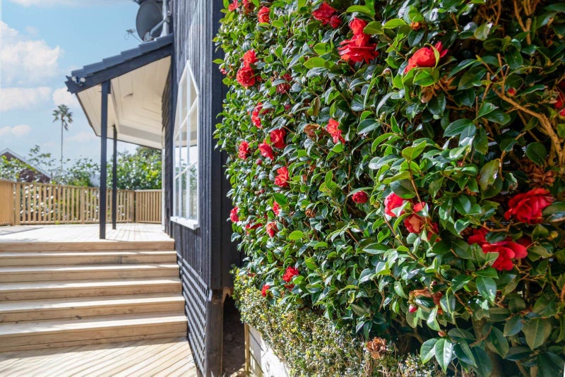 28A Seaview Road, Remuera, Auckland - Carousel 19
