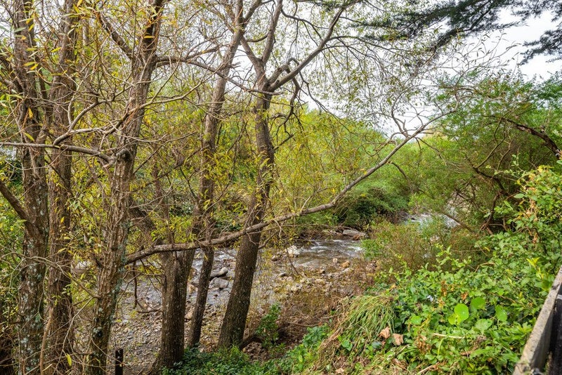 39 Featherston Cross Creek Road, WESTERN LAKE, FEATHERSTON - Carousel 23
