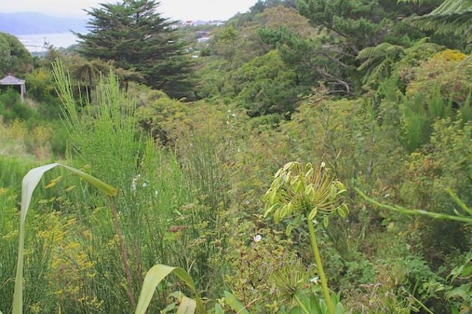 190 Miromiro Road, Normandale, Lower Hutt - Carousel 1