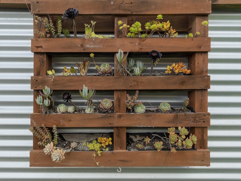 63A Greerton Road, Gate Pa, Tauranga - Carousel 21