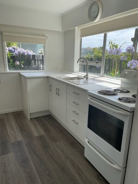 100 Stewart Drive, Newlands, Wellington - Carousel 2