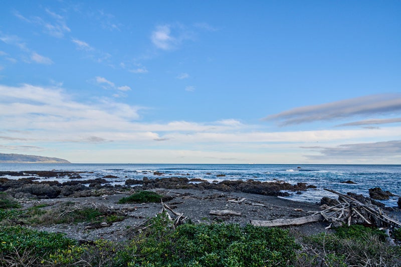 166 Owhiro Bay Parade, Owhiro Bay, Wellington - Carousel 2