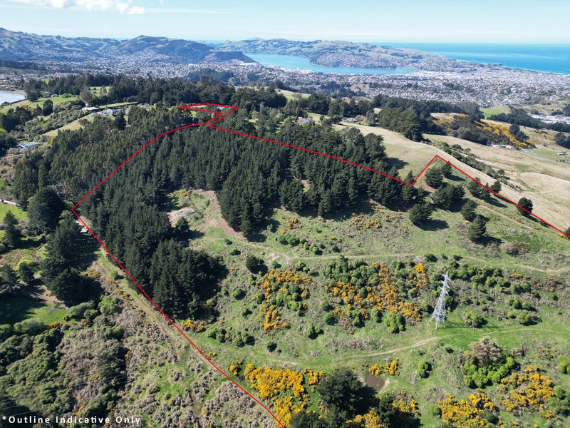 396 Dalziel Road, Mount Grand, Dunedin - Carousel 20