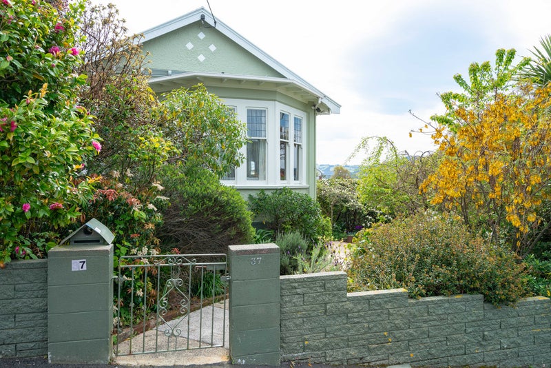 37 Duncan Street, Dunedin Central, Dunedin - Carousel 21