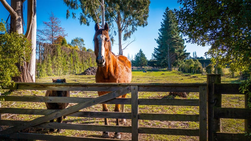 173 Bells Road, Christchurch - Carousel 18