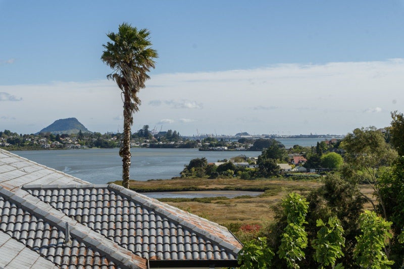 44 Diamond Head, Hairini, Tauranga - Carousel 2