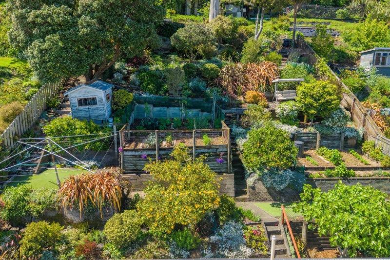 20 Konini Street, Nelson South, Nelson - Carousel 2