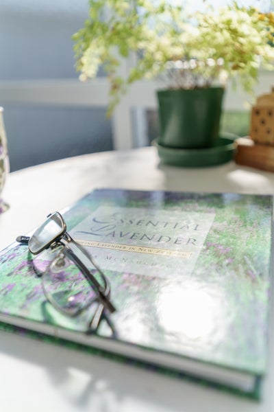 6 Brabourne Street, Hillsborough, Christchurch - Carousel 33