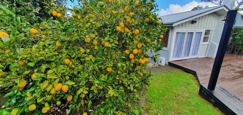 1/34 Valley View Road, Glenfield, Auckland - Carousel 1