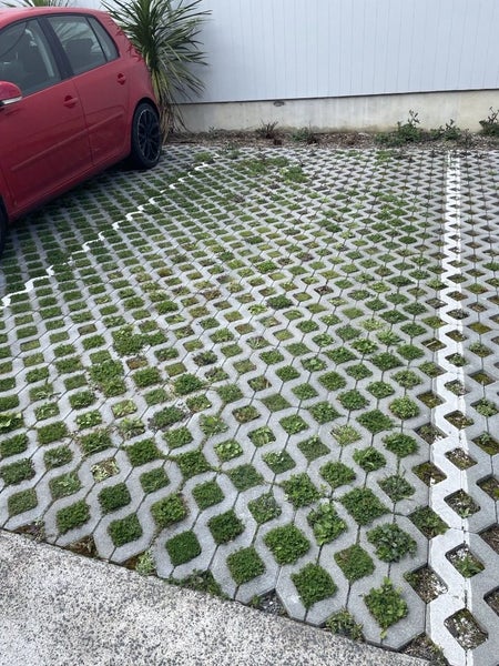 11/3 Matuhi Rise, Henderson, Auckland - Carousel 13