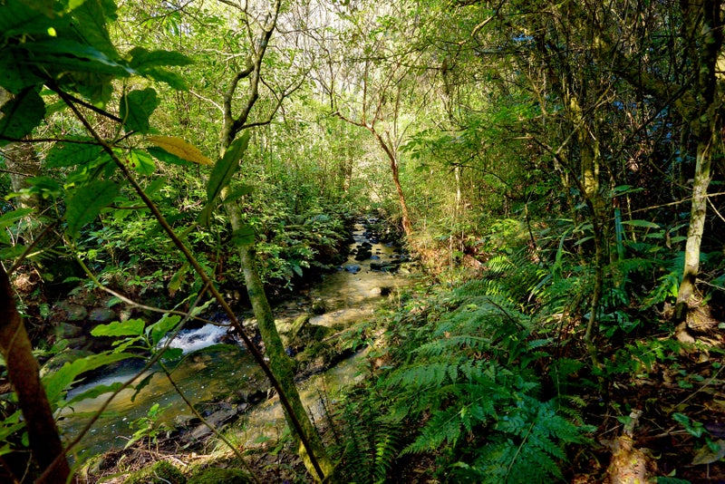 18 Patmos Avenue, Woodhaugh, Dunedin - Carousel 30