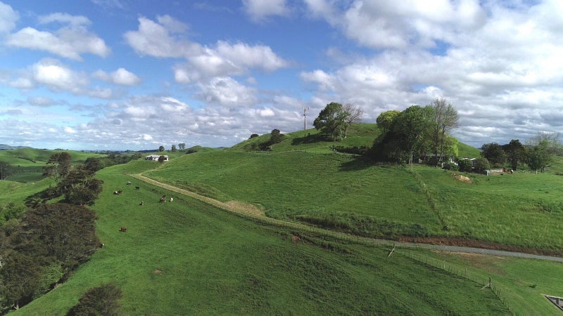 439 Paparamu Road, Tirau - Carousel 2