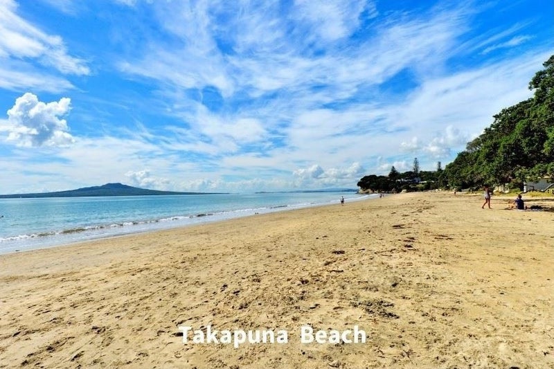 21A Walter Street, Hauraki, Auckland - Carousel 23