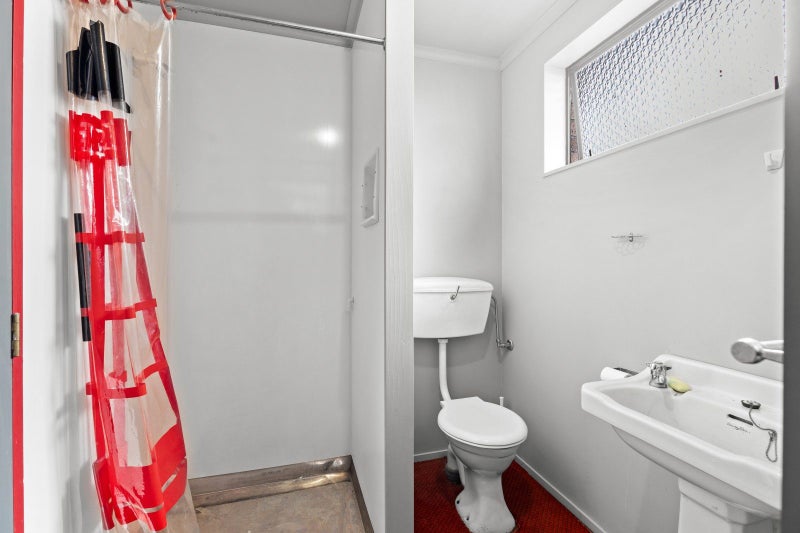 164 Limbrick Street, Terrace End, Palmerston North - Carousel 39