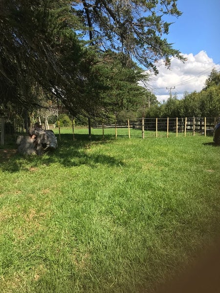 301 Riverhead Road, Kumeu - Carousel 8